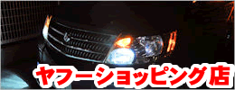 �G���g��CAR�V���b�v�F���t�[�V���b�s���O�X�g�A�X